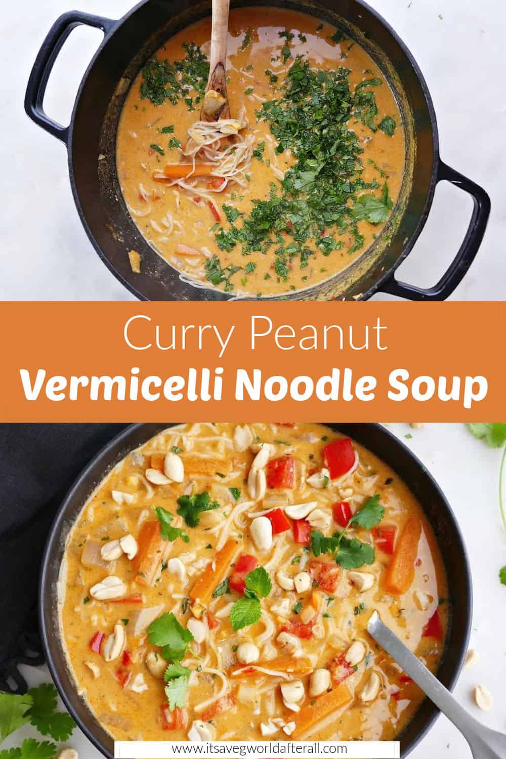 Vegetarian Curry Peanut Vermicelli Soup - It's a Veg World After All®
