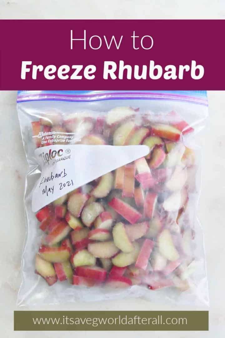 Freezing Rhubarb How to Preserve Raw Rhubarb It's a Veg World After All®