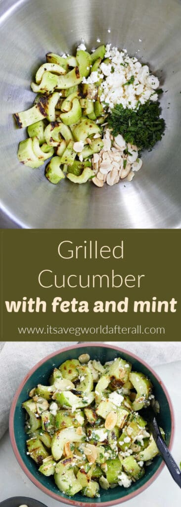 grilled cucumber salad ingredients in a bowl and in a serving dish separated by text box with recipe title