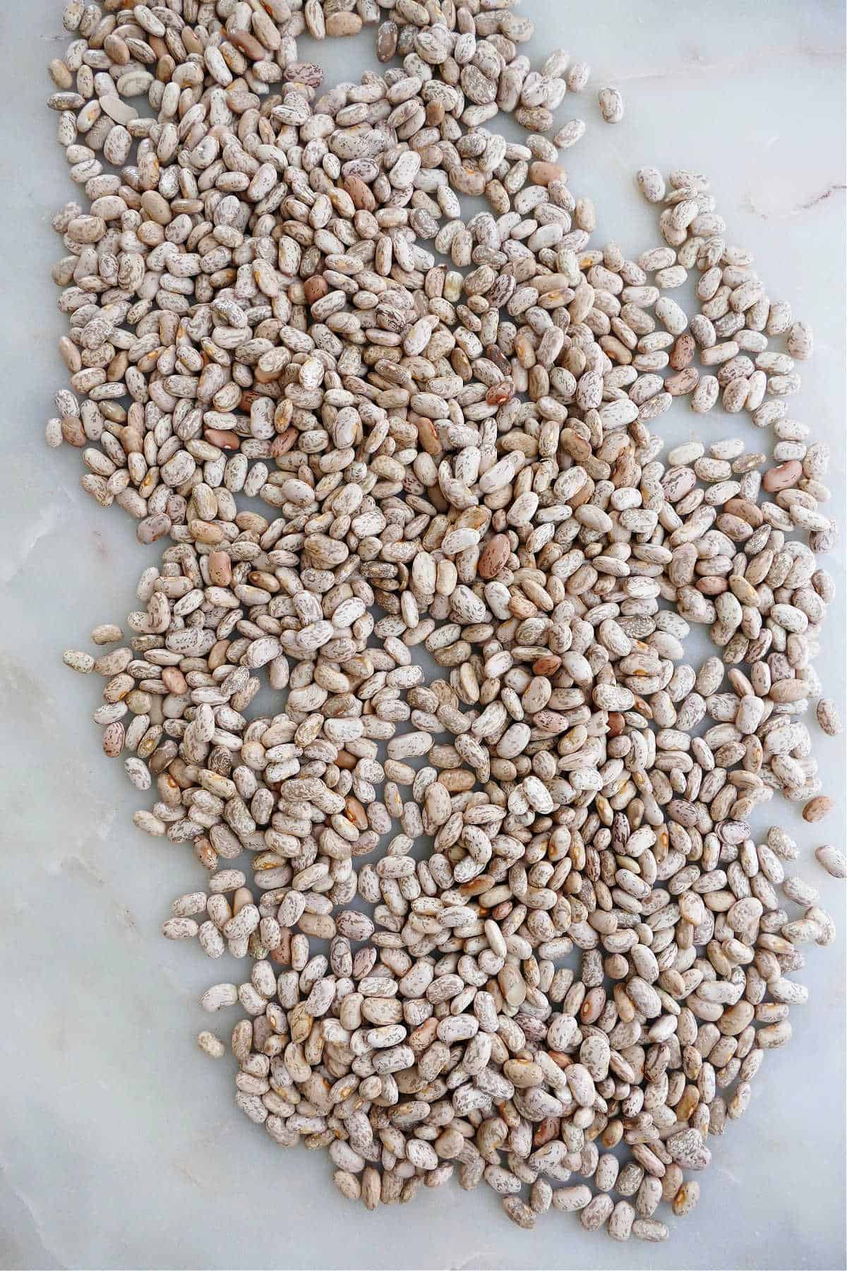dry pinto beans spread out next to each other on a counter