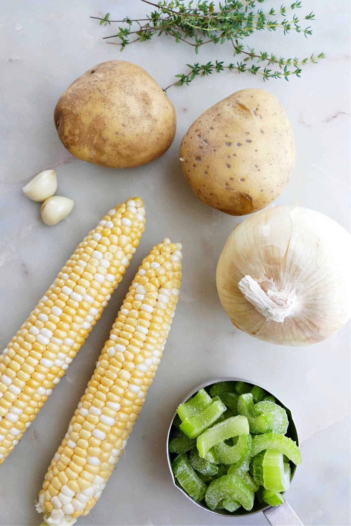 potatoes, thyme, onion, garlic, ears of corn, and celery on a counter