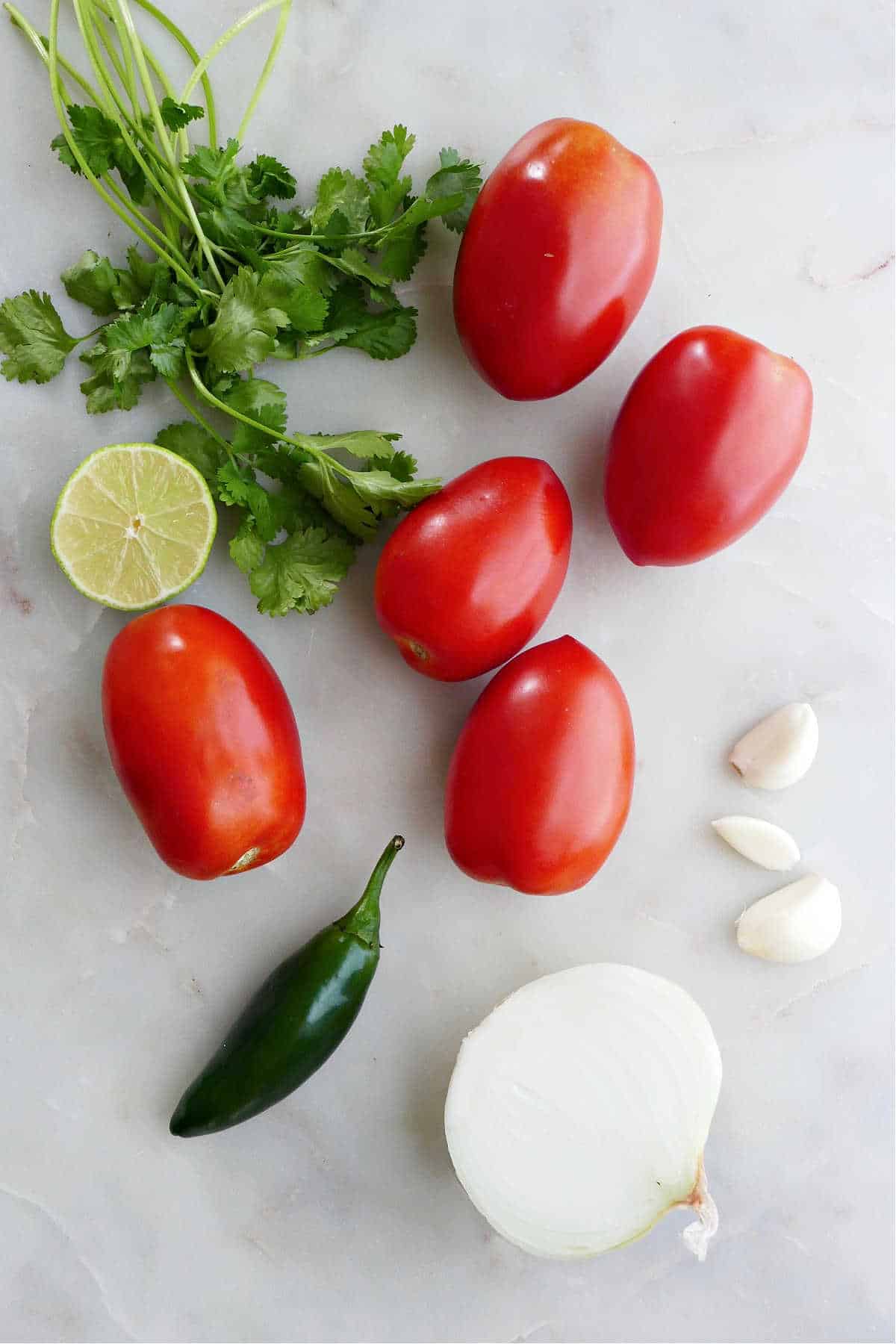 roma tomatoes, cilantro, lime, garlic, jalapeno, and onion spread out on a counter