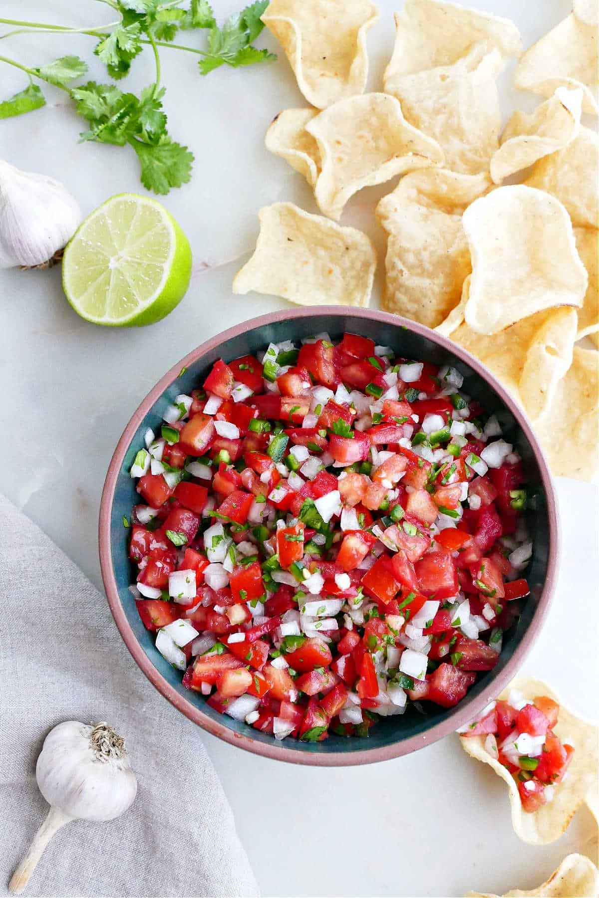 fresh garden salsa in a serving bowl surrounded by tortilla chips and ingredients