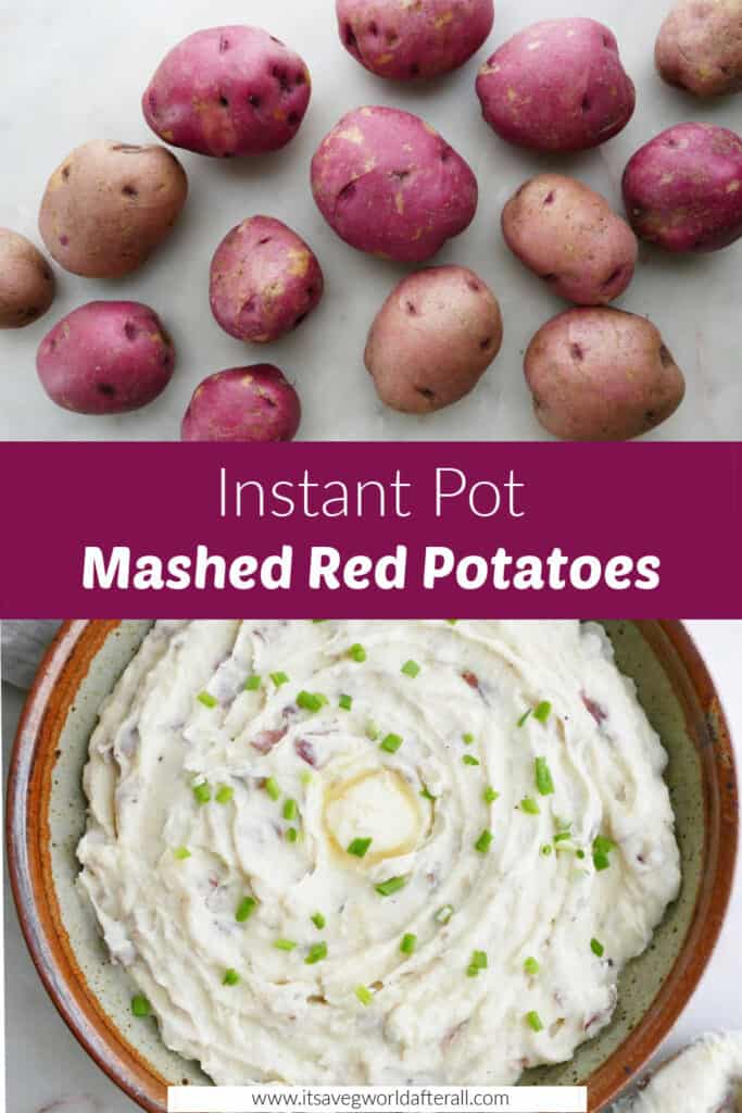 photos of red potatoes on a counter and mashed potatoes in bowl separated by text box