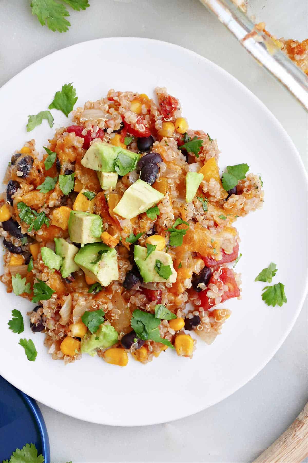 vegetarian taco casserole with quinoa on a plate topped with avocado and cilantro