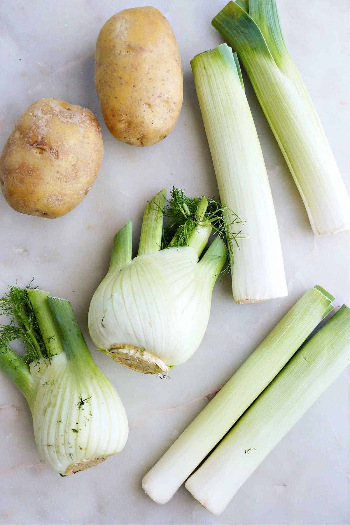 two potatoes, four leeks, and two bulbs of fennel on a counter next to each other