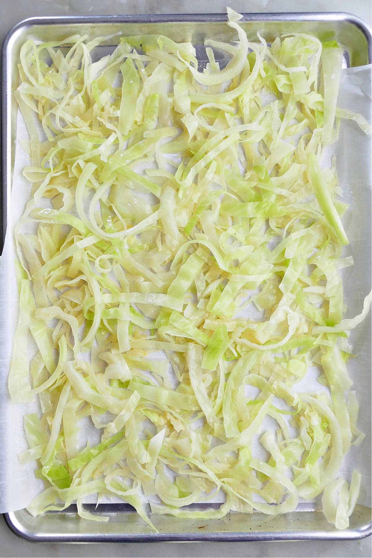 shredded and blanched cabbage spread out on a large baking sheet lined with parchment