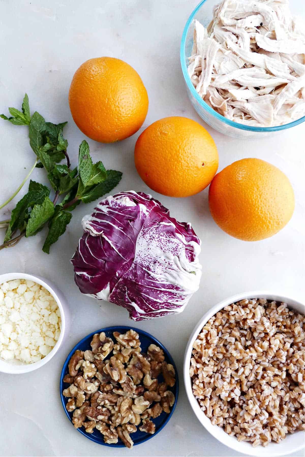 shredded chicken, oranges, mint, radicchio, farro, walnuts, and feta cheese on a counter