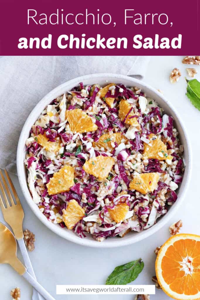 shredded radicchio salad with a purple text box with recipe title