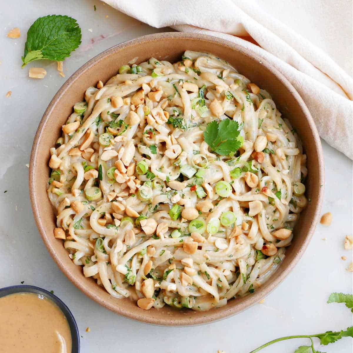 Vegan Peanut Noodles with Fresh Herbs - It's a Veg World After All®