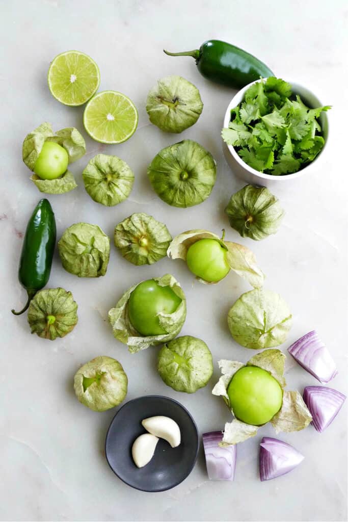 Tomatillo Green Chili Salsa (Salsa Verde) - It&amp;#39;s a Veg World After All®