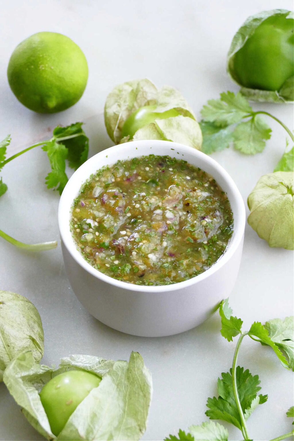 Tomatillo Green Chili Salsa Salsa Verde It S A Veg World After All