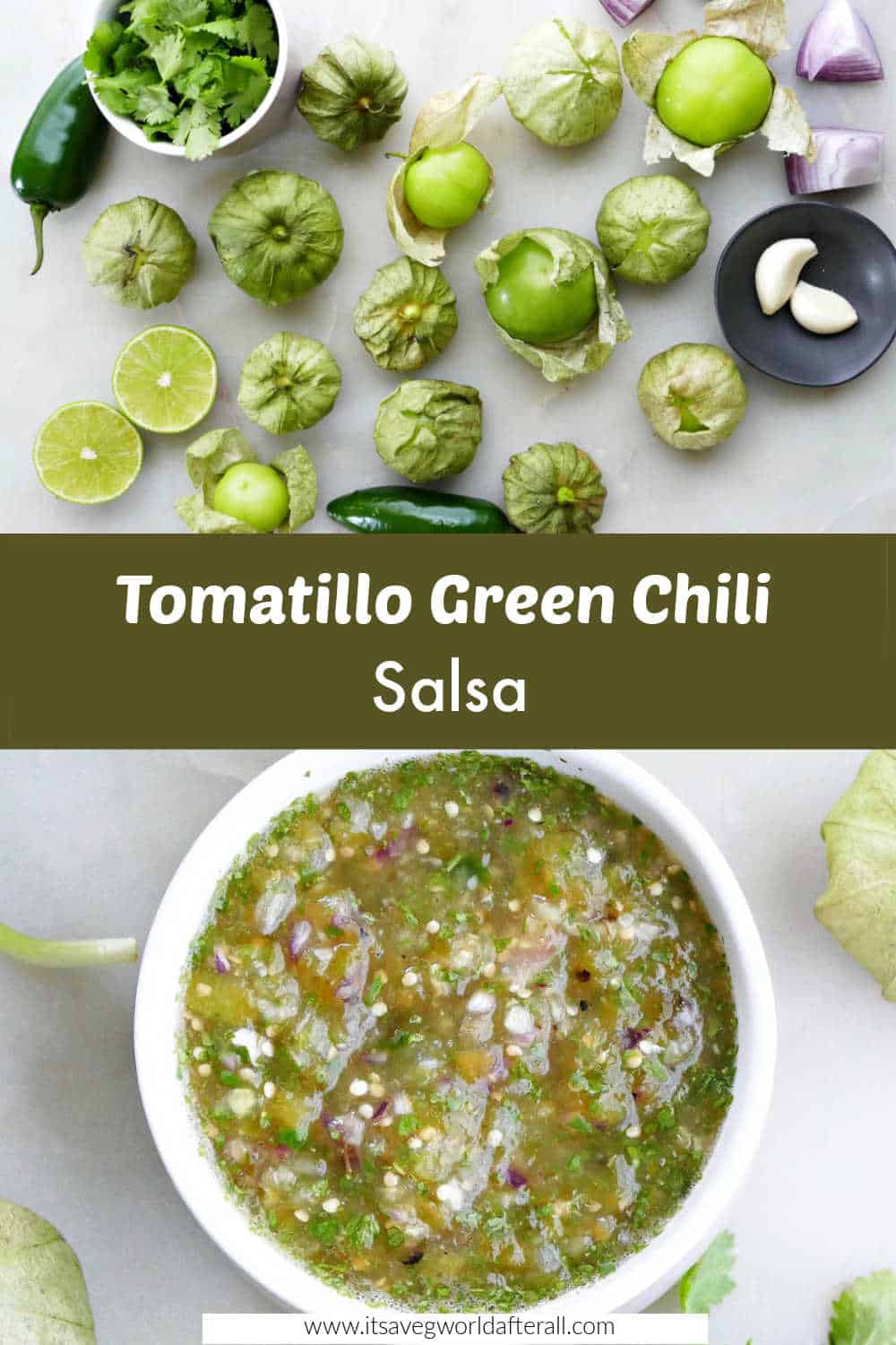 Tomatillo Green Chili Salsa (Salsa Verde) It's a Veg World After All®