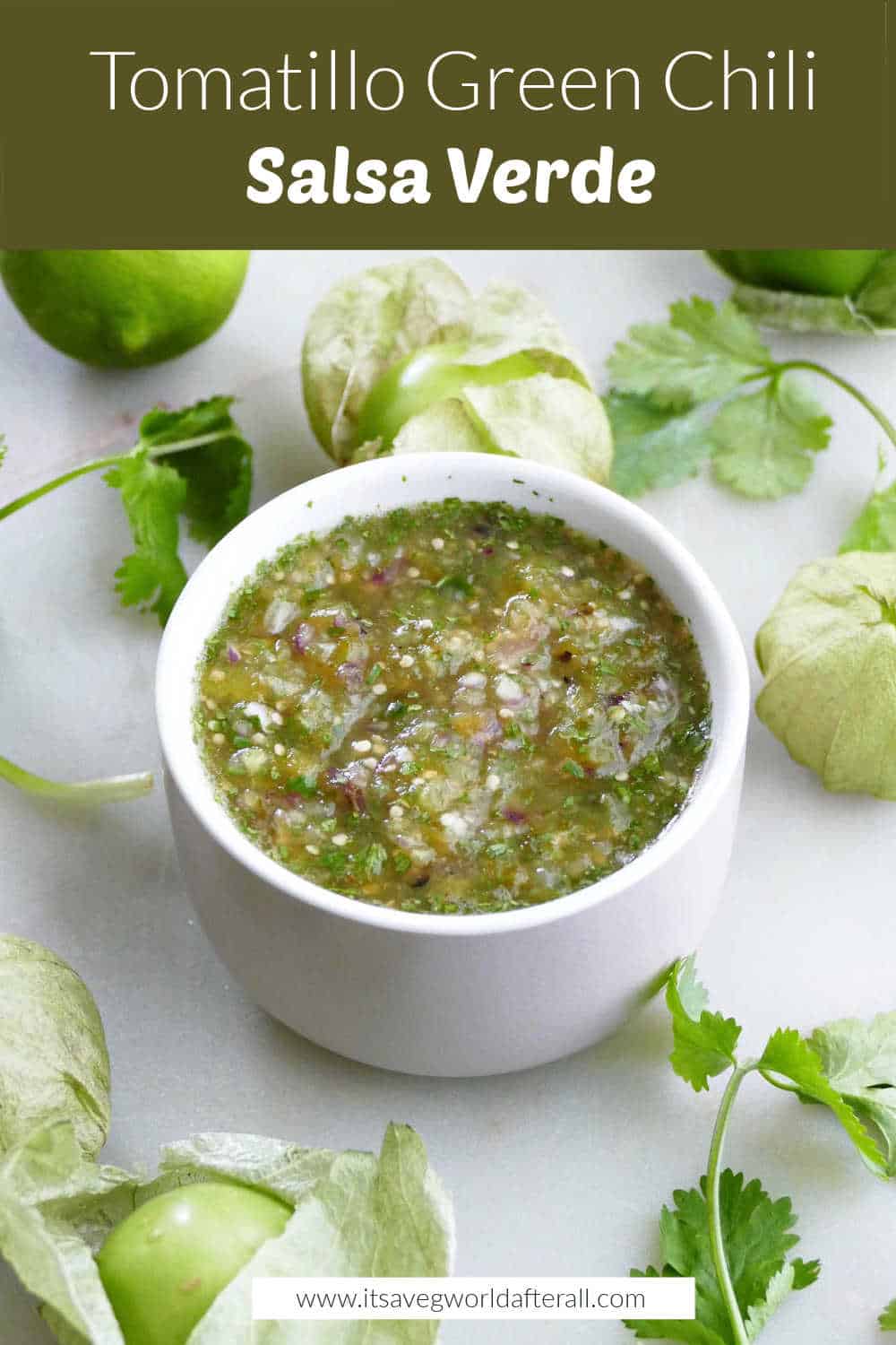 Tomatillo Green Chili Salsa (Salsa Verde) - It&amp;#39;s a Veg World After All®