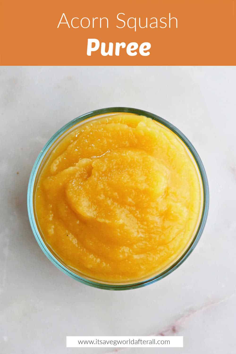 View of Acorn Squash Puree - It's a Veg World After All®