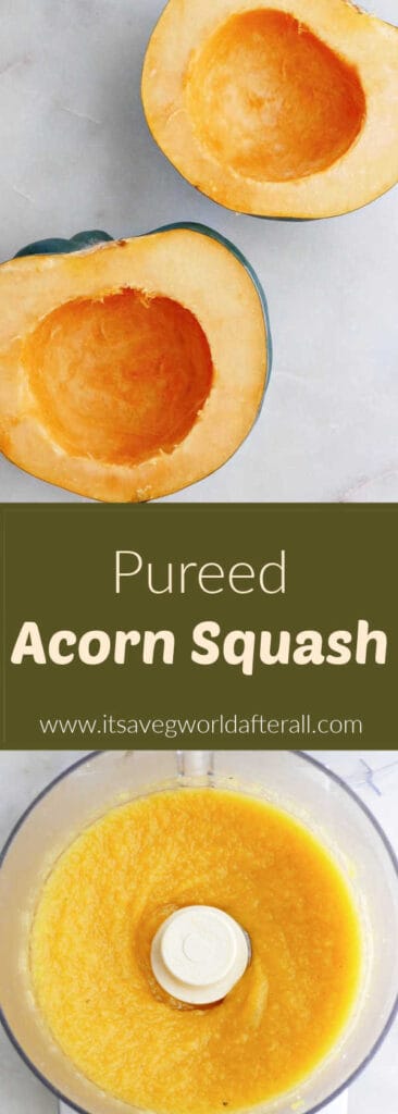 halved acorn squash and puree in a food processor separated by text box