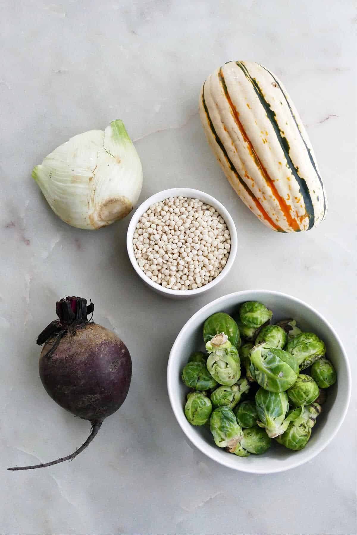 fennel, beet, delicata squash, Brussels sprouts, and couscous on a counter