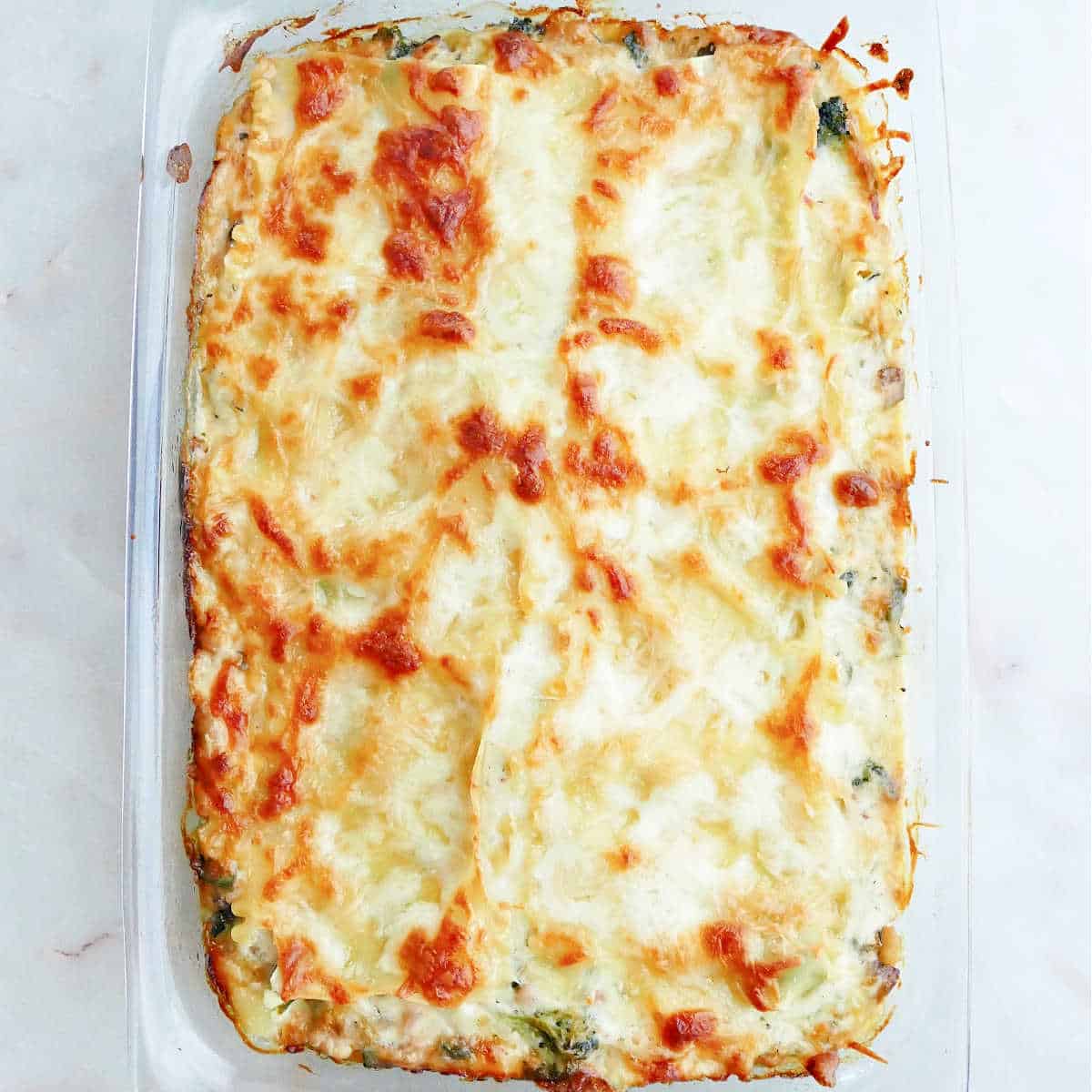 vegetable lasagna with white sauce after coming out of the oven