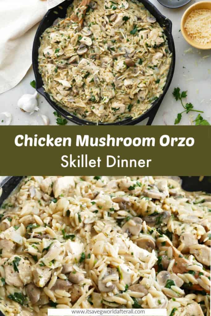 images of chicken mushroom orzo skillet separated by text box with recipe name