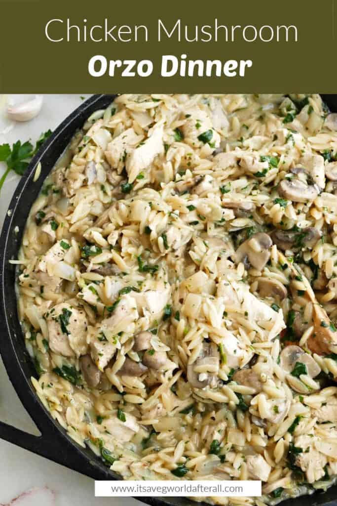 chicken and mushroom orzo dinner under text box with recipe name