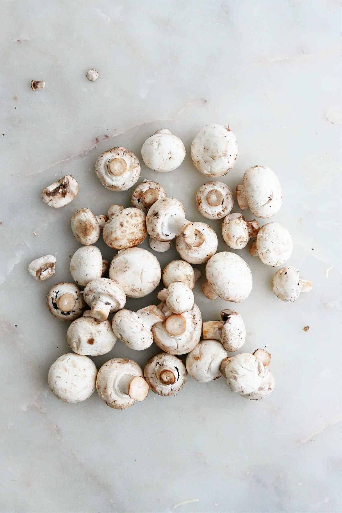 fresh white button mushrooms spread out on a counter