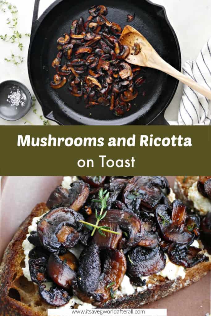 caramelized mushrooms and mushroom toast separated by text box