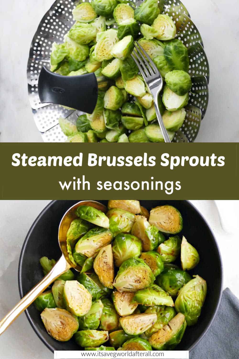 Steamed Brussels Sprouts (with Seasonings) It's a Veg World After All®