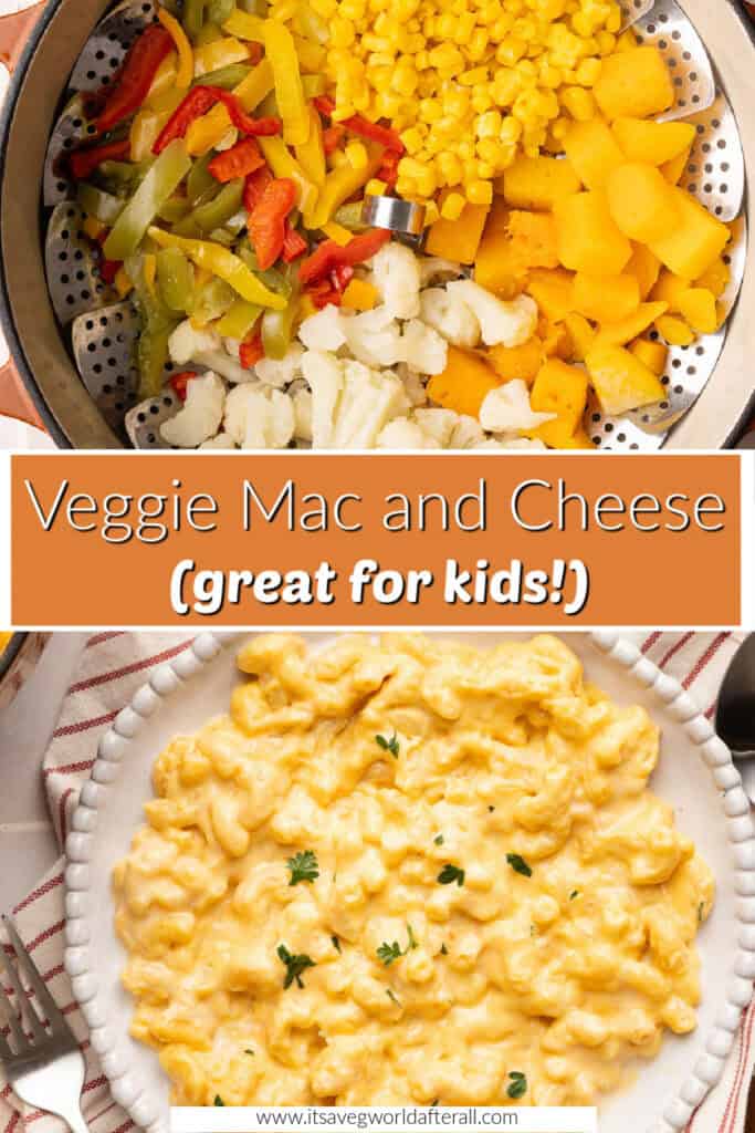 Veggies in a steamer basket and mac and cheese separated by box with recipe name.