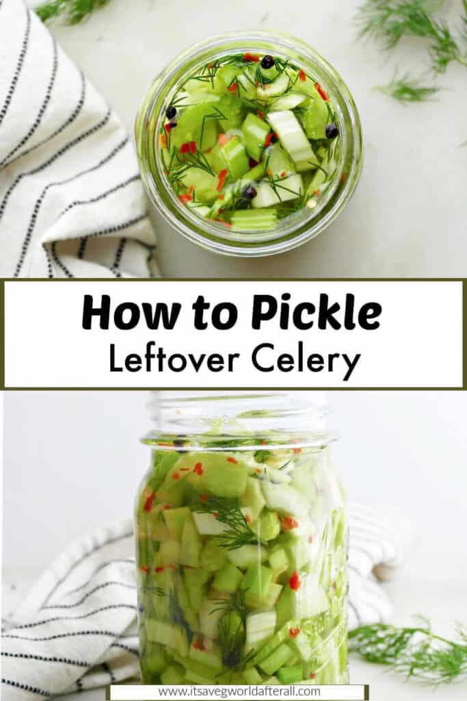 pickled celery in jars separated by text box with recipe name