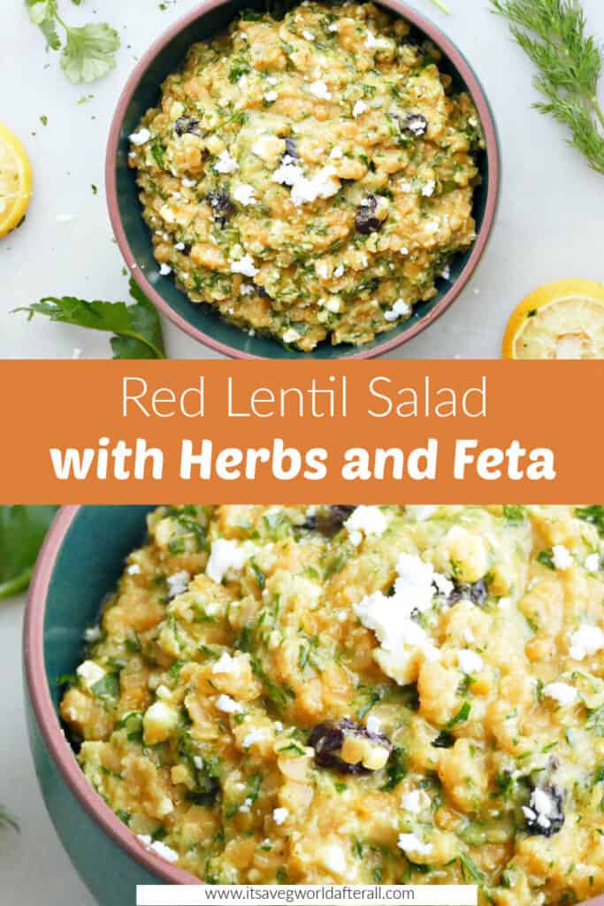red lentil salad in bowls separated by text box with recipe name
