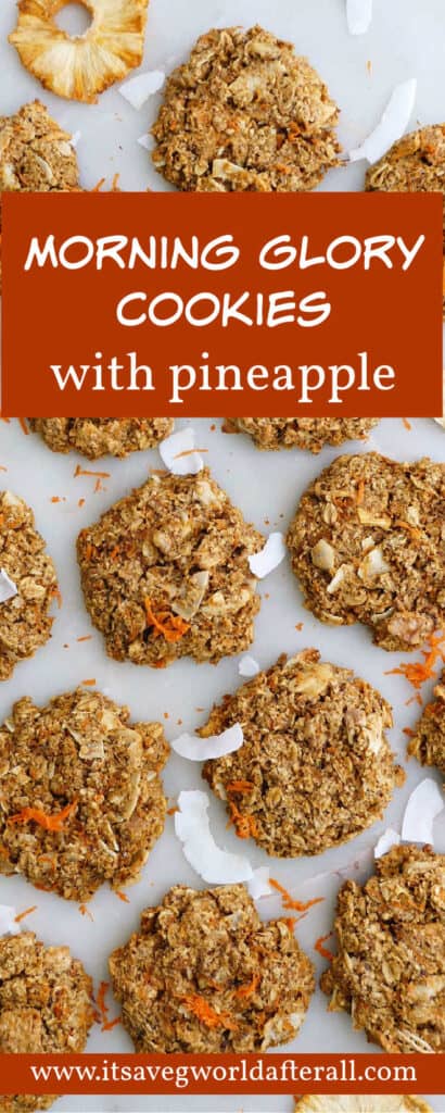 oatmeal carrot cookies on a counter with text boxes for recipe name and website