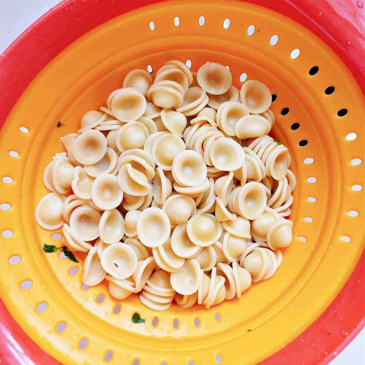 orecchiette being drained after being cooked in a colander in a sink