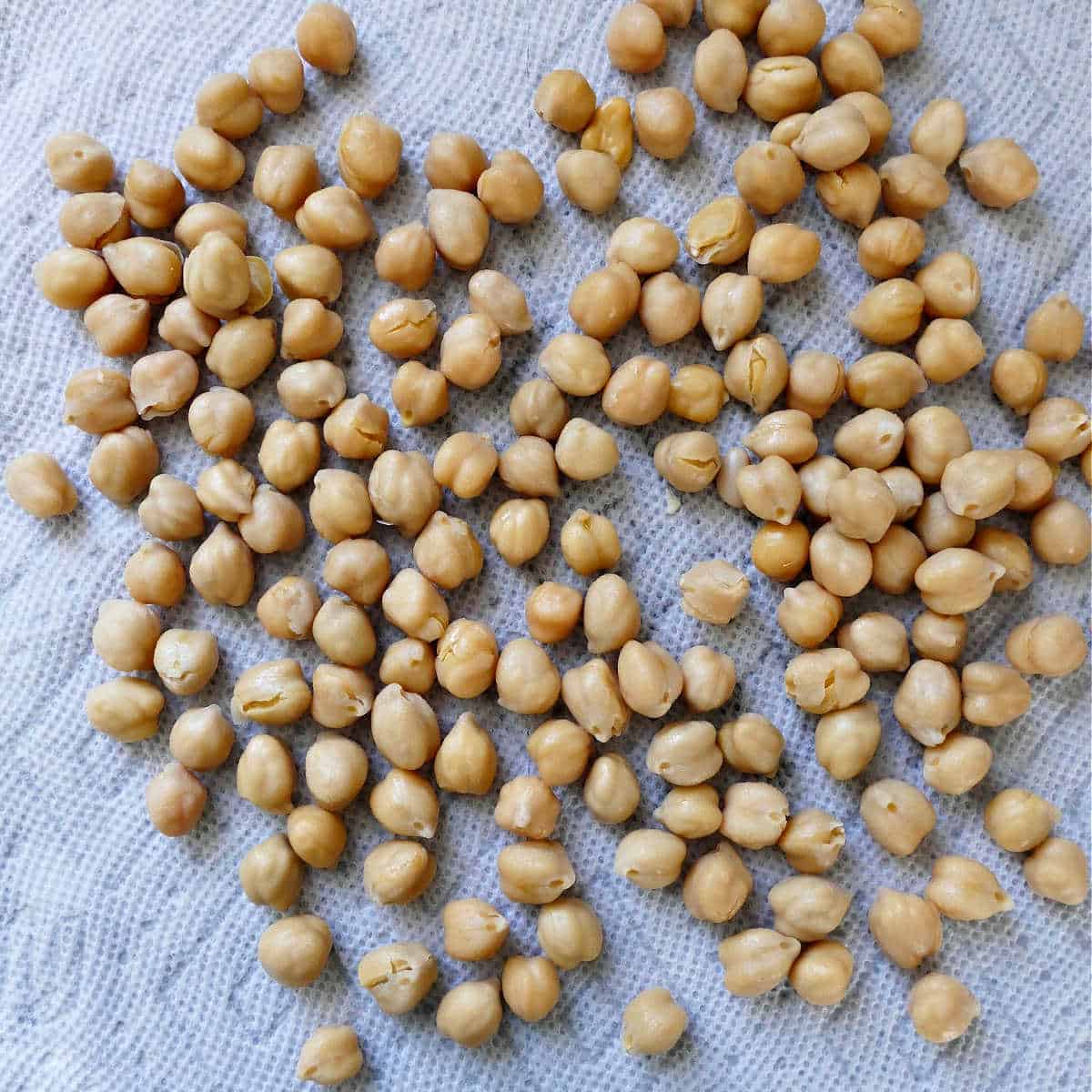 rinsed chickpeas on a paper towel drying before being cooked