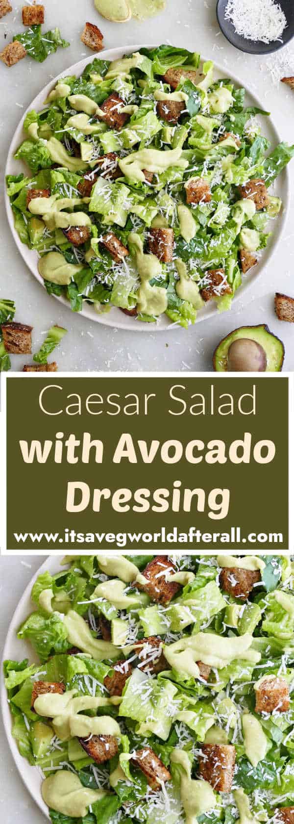 Avocado Caesar Salad It's a Veg World After All®