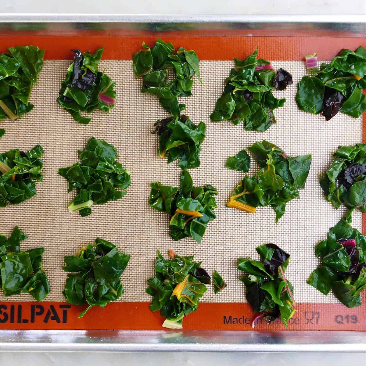 blanched chard leaves spread on a baking sheet before being frozen