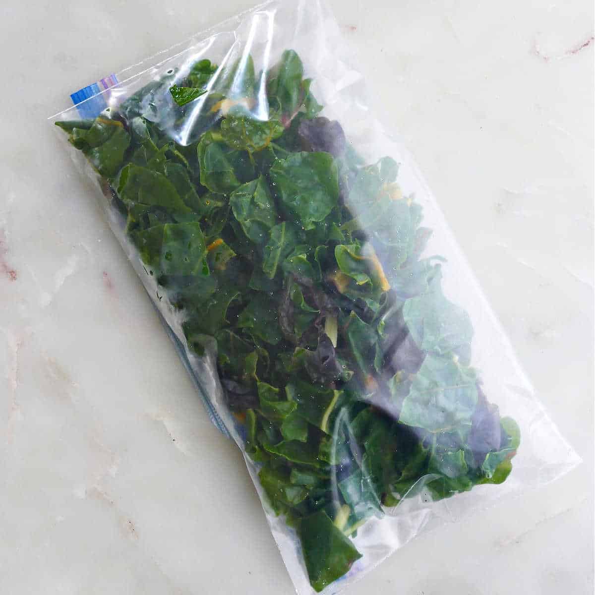 frozen Swiss chard in a sealed plastic bag on a counter