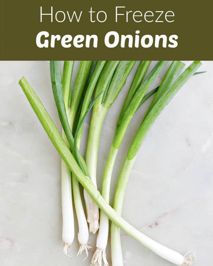 a bunch of green onions on a marble counter with text boxes
