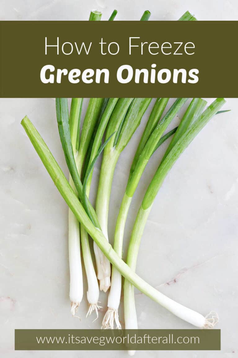 How to Freeze Green Onion It's a Veg World After All®