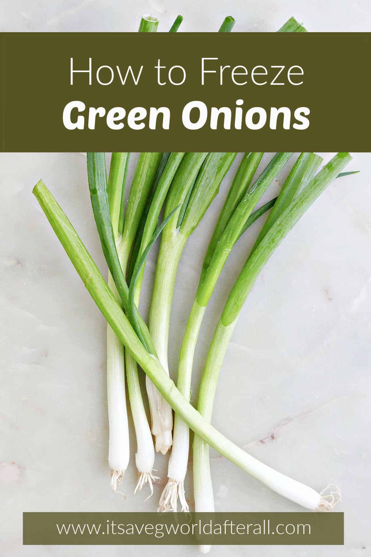 a bunch of green onions on a marble counter with text boxes