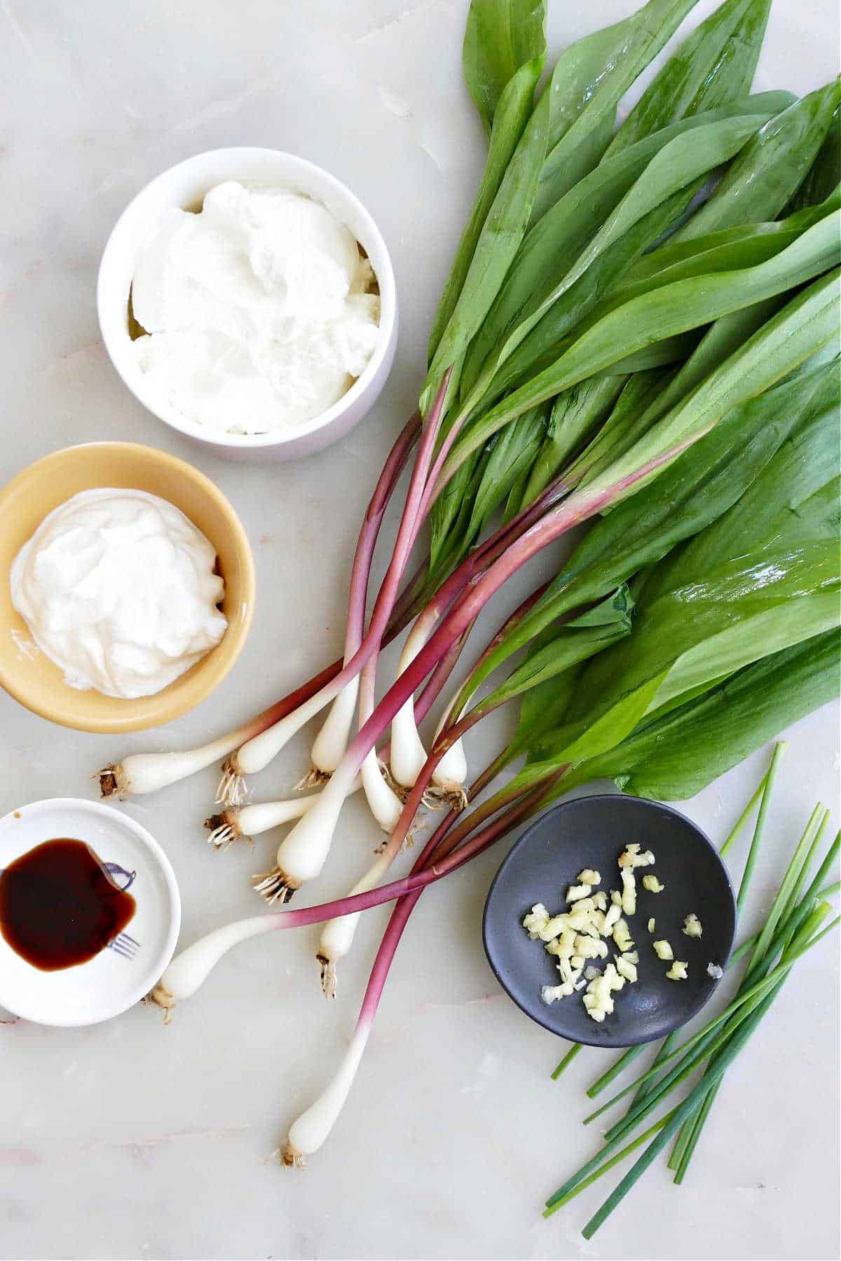 Greek yogurt, sour cream, ramps, Worcestershire sauce, garlic, and chives on a counter
