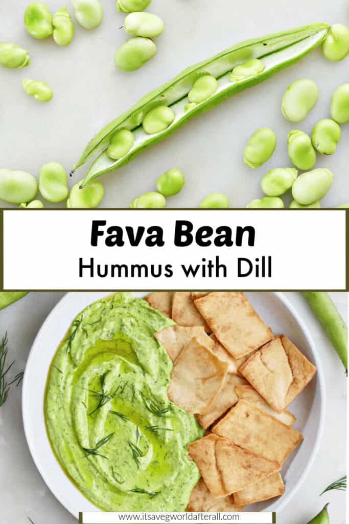 fava beans and fava bean hummus and chips on a plate separated by text box