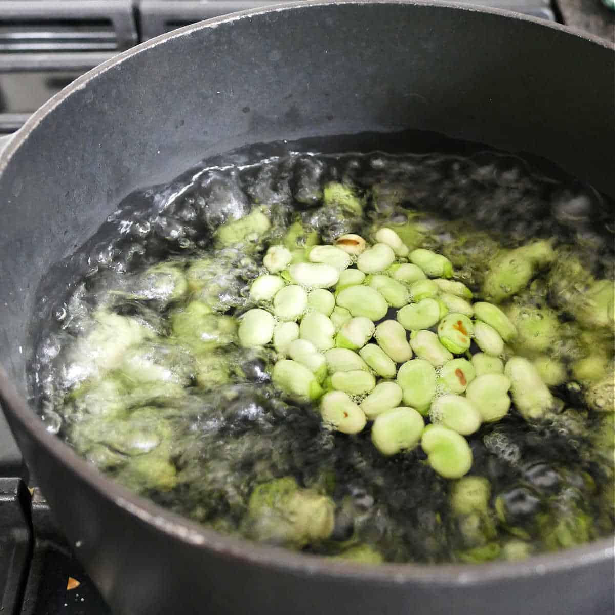 fava beans being blanched in a pot of boiling water on a stove