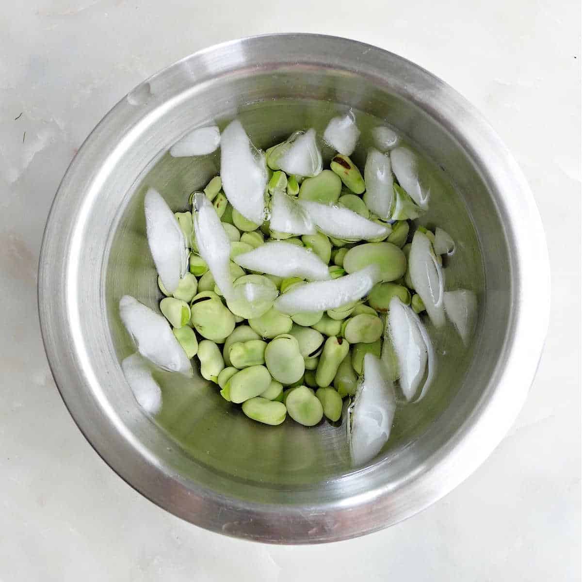 blanched fava beans in a bowl of ice water on a counter