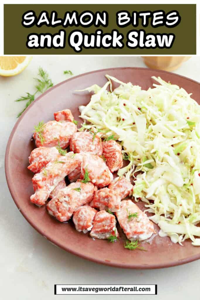salmon bites and coleslaw on a plate with text boxes for recipe name and website