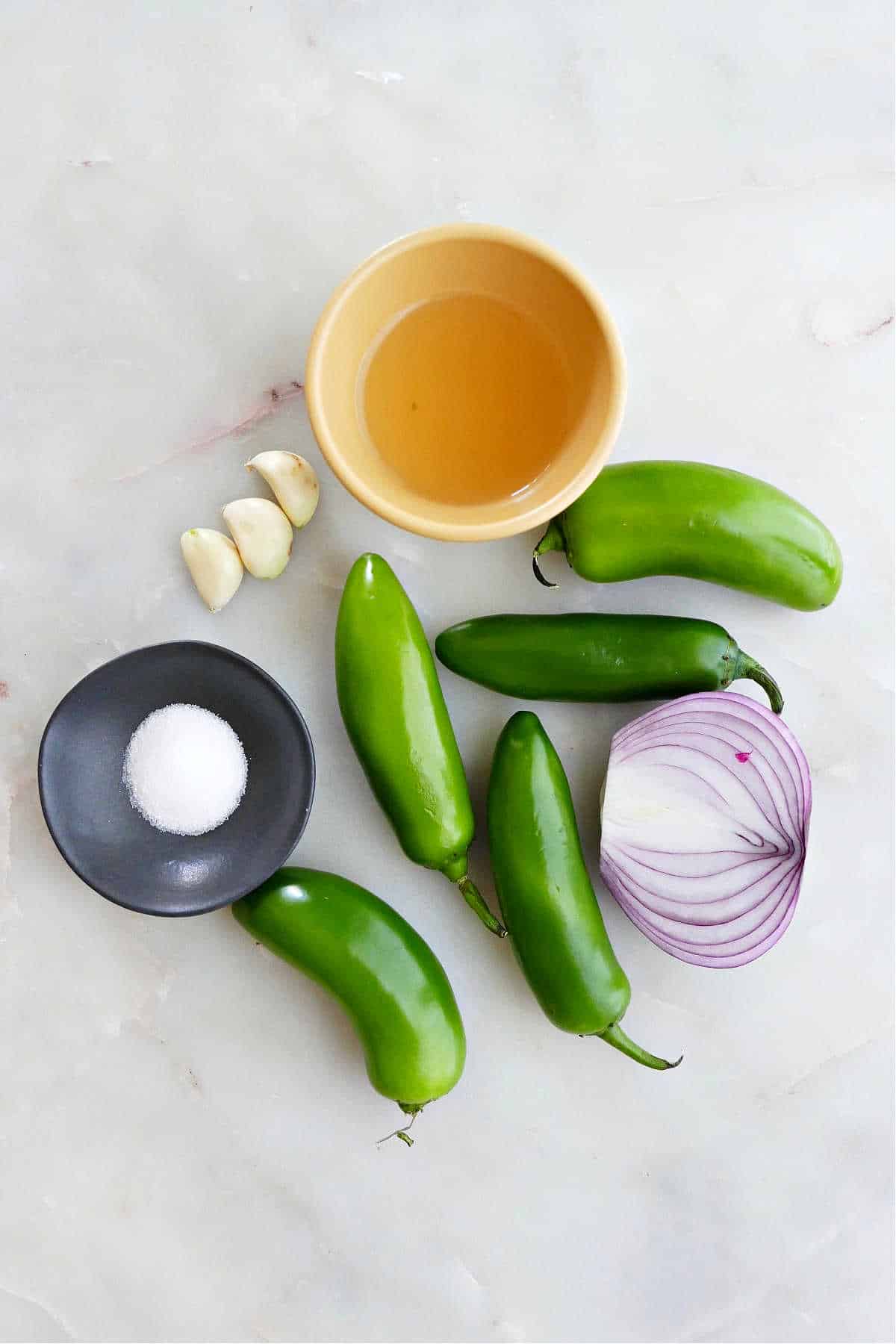 jalapeños, red onion, salt, vinegar, and garlic next to each other on a counter