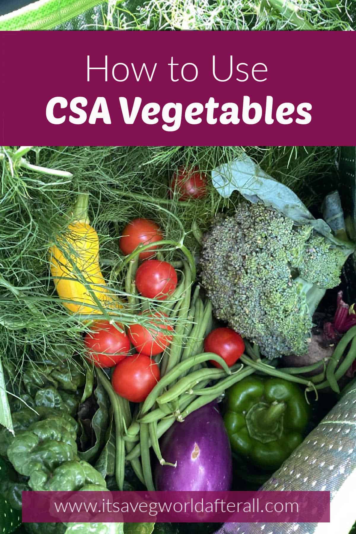 fresh vegetables from a CSA share in a bag with text boxes
