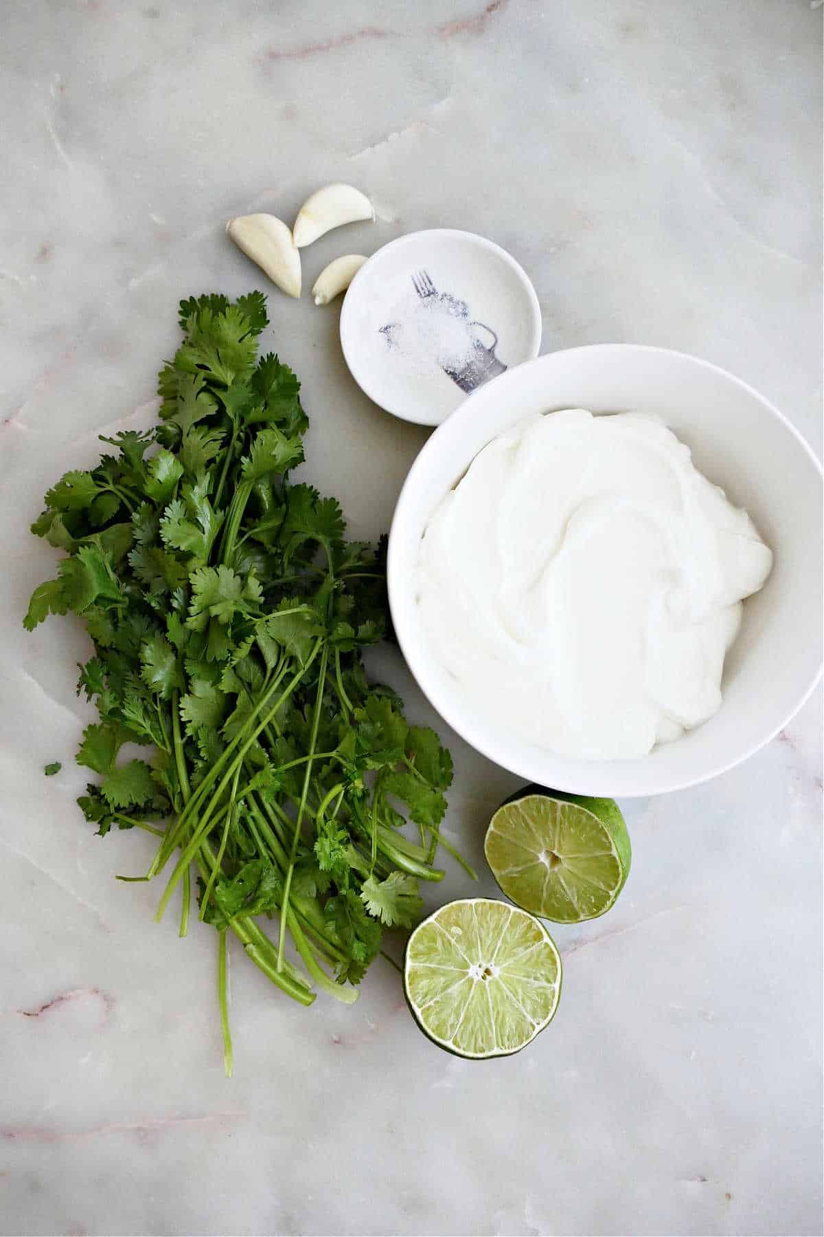 cilantro, lime, plain Greek yogurt, garlic, and salt on a counter