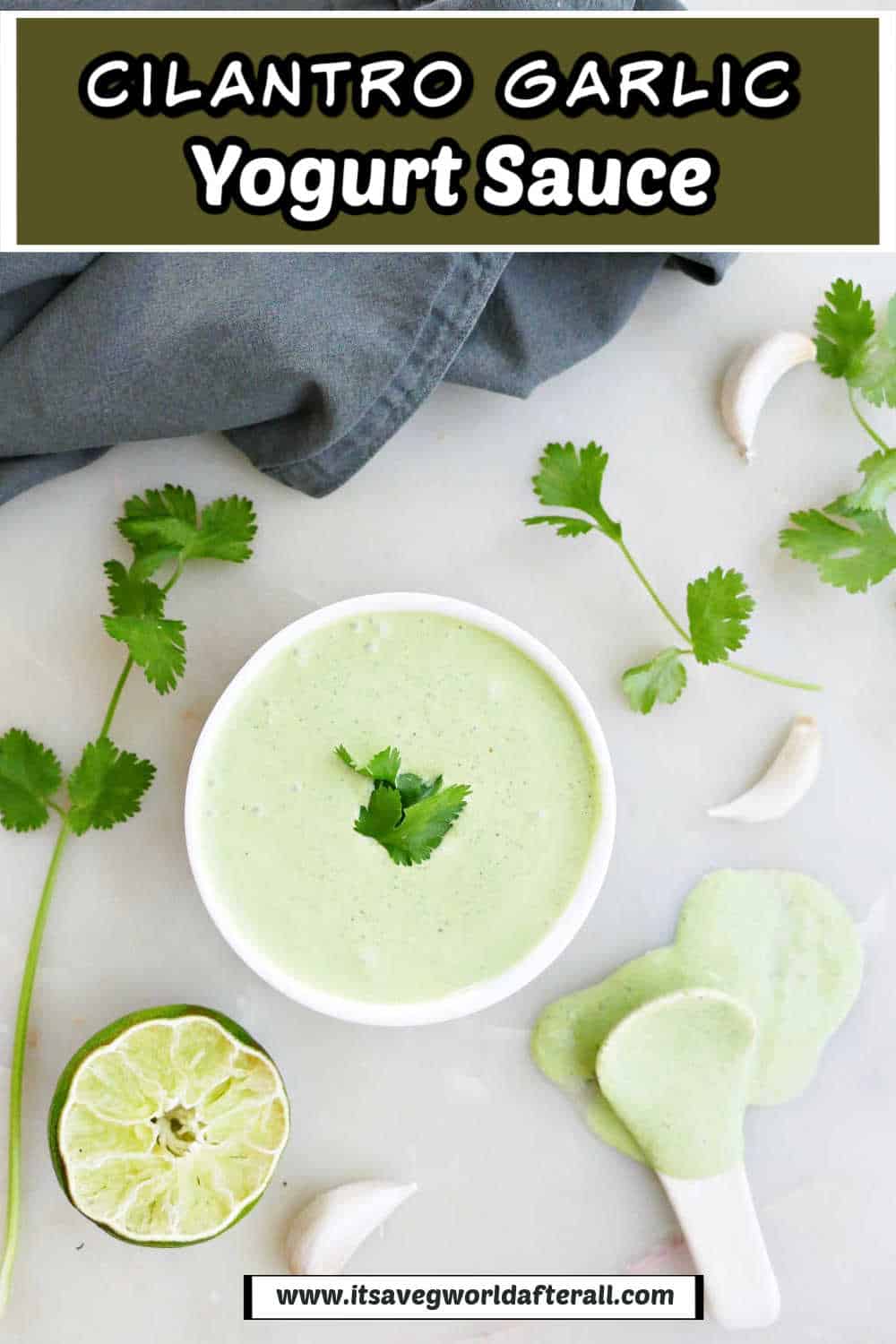 Lime Cilantro Garlic Sauce It S A Veg World After All   Cilantro Garlic Sauce Pin 1 