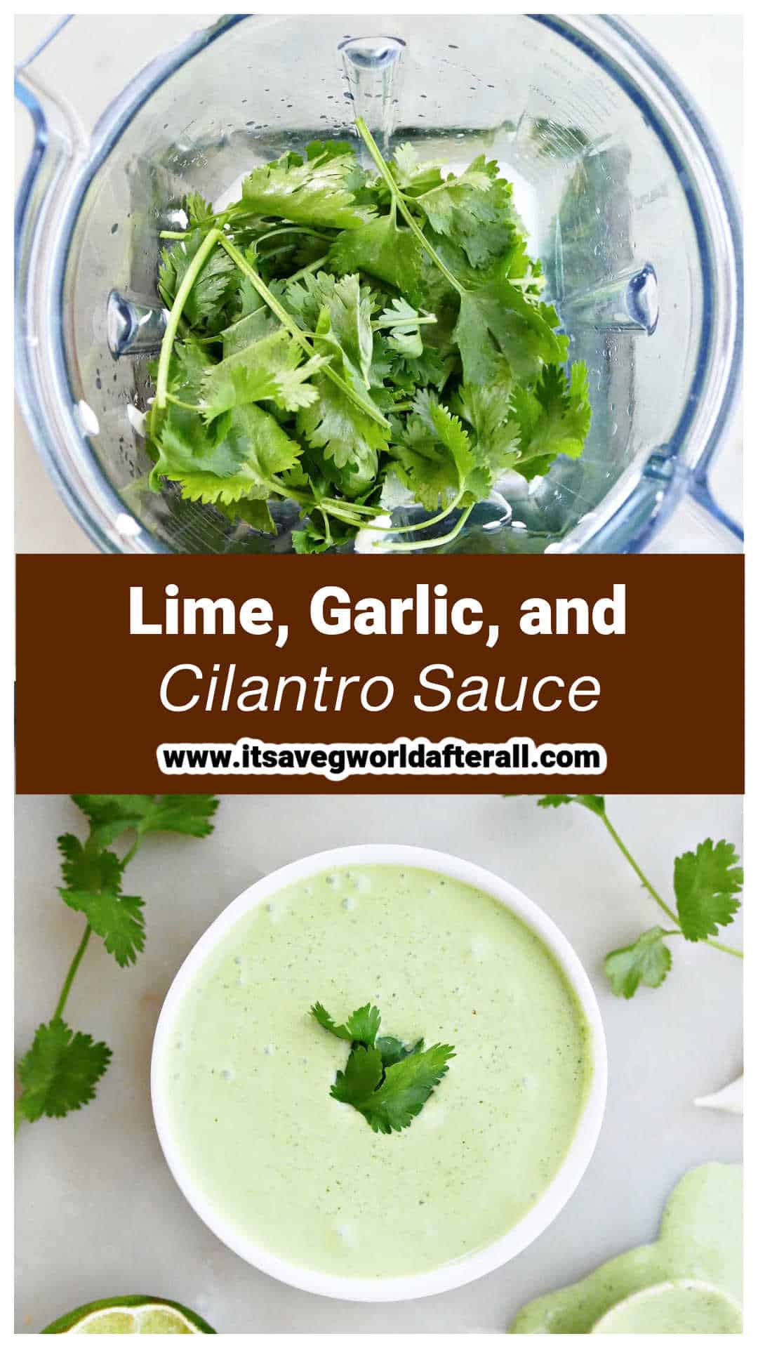 Lime Cilantro Garlic Sauce It S A Veg World After All   Cilantro Garlic Sauce Pin 2 