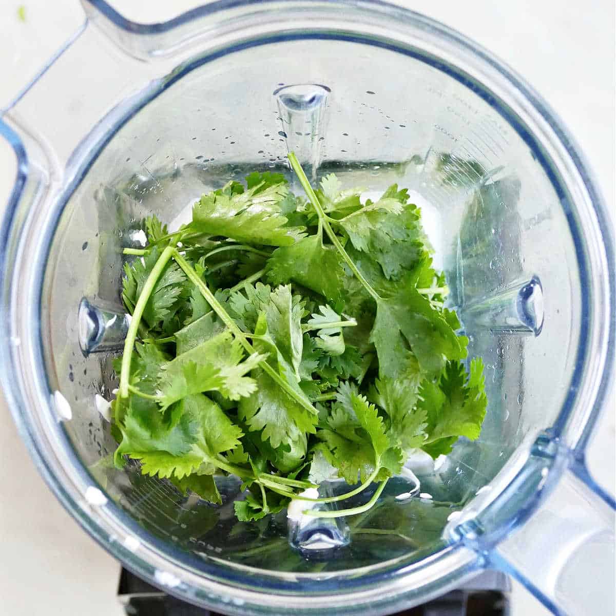 cilantro and other ingredients in a blender before being made into sauce